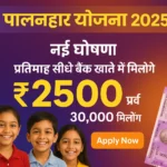 Palanhar Yojana Rajasthan 2025 पात्रता, लाभ और जाने कैसे करें आवेदन